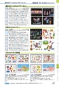 ヒルマ　2019年度　教材総合カタログ【小学校編】